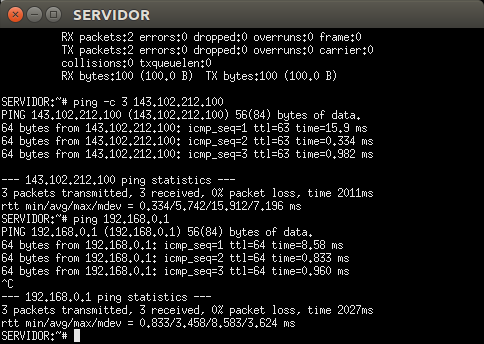 ping sendo executado do SERVIDOR para a EMPRESA1