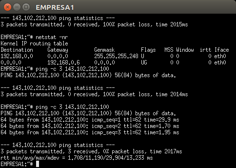 EMPRESA1 completando o ping